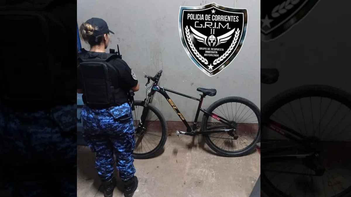 Tras quedar acorralado por la Policía, abandonó una bicicleta que había robado