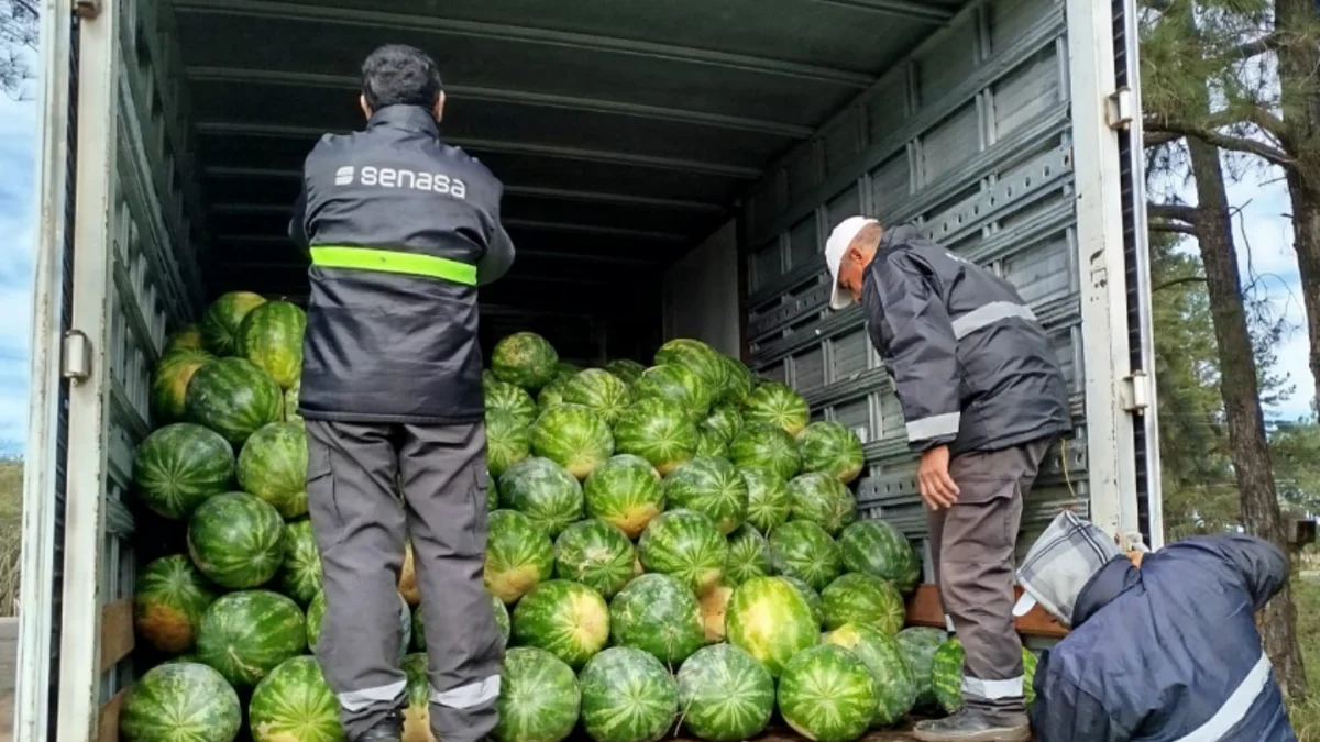 Corrientes: Senasa detectó 9 toneladas de frutas sin documentación sanitaria