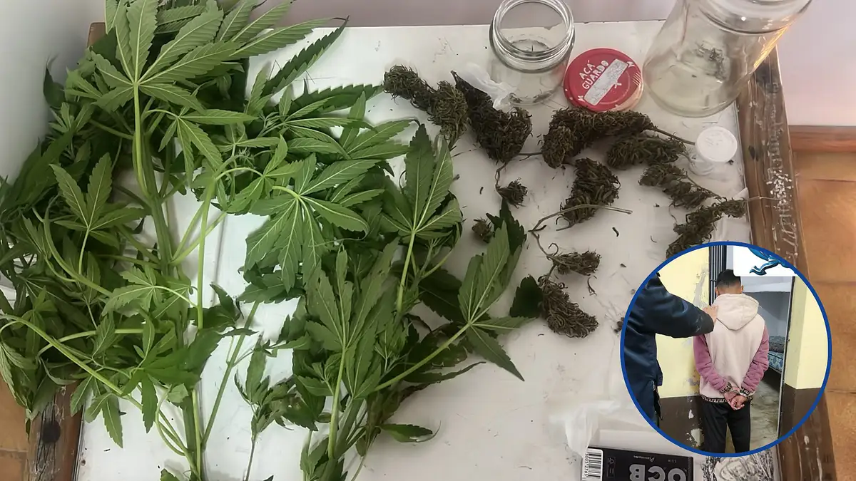 Golpe al narcormenudeo tras un allanamiento en Corrientes